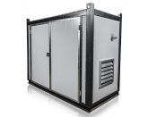 Дизельный генератор CTG 45IS-M в контейнере